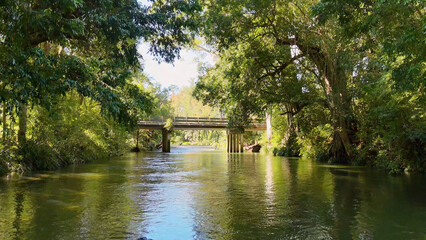 Fototapeta premium Tranquil River Scene with Rustic Bridge in Bellingen New South Wales