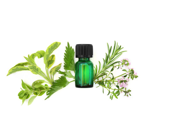 Hay fever natural medicinal herbal remedy, green oil bottle, herbs, nettle, rosemary, thyme, sage, oregano, marjoram on white. Anti histamine medicine for summer allergies. 