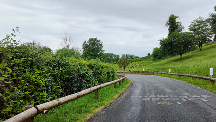 Obraz premium Winding Rural Road Through Saint-Emilion Vineyards Under Overcast Skies