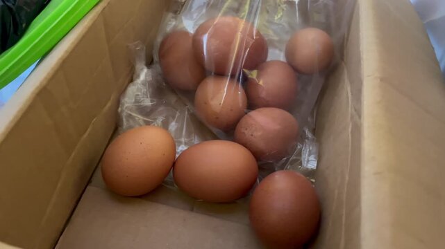 Fresh Raw Chicken Eggs in Cardboard Packaging