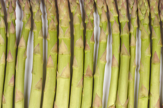 A close up top view shows a row of fresh raw green asparagus stalks arranged neatly next to each other on a white surface
