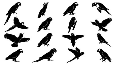 Black Parrot Silhouettes Collection Featuring Flying and Perched Exotic Bird Vector Set © creative Madara 