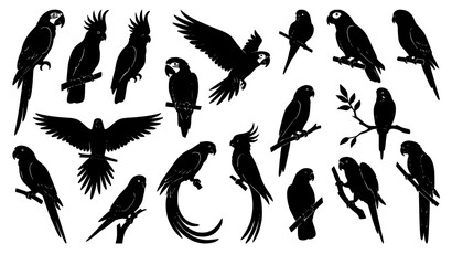 Tropical Parrot Silhouette Set with Black Flying and Perched Bird Vector Illustrations © creative Madara 