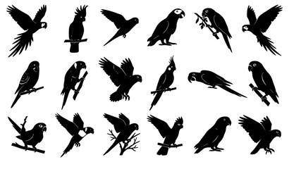 Exotic Black Parrot Silhouette Vector Collection with Tropical Birds Isolated on White © creative Madara 