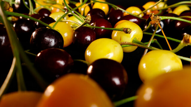 Freshly picked red and yellow cherries displaying vibrant colors and smooth textures, featuring green stems and a blurred background, highlighting healthy natural food