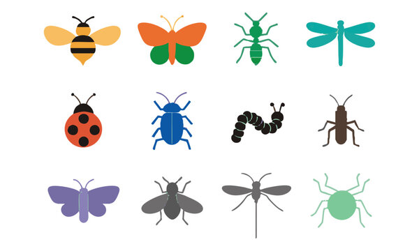 Garden Wildlife Insect Illustration Set.