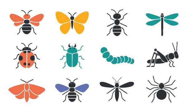 Nature Biology Insect Icon Collection.