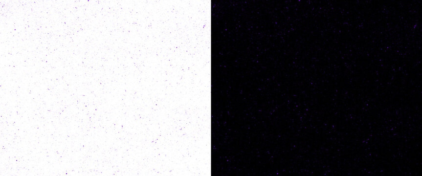 Minimalist split screen background with white and black panels, high contrast dual tone texture, abstract geometric composition for graphic design