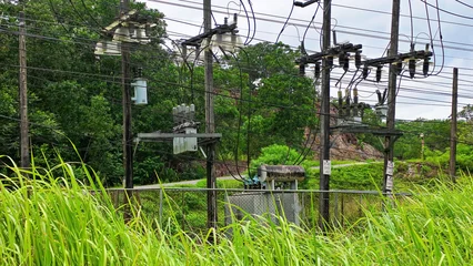 Power Substation Amidst Nature: A functional electrical substation with transformers and high-voltage equipment is situated amidst lush greenery and tall grass. © Chatchaa