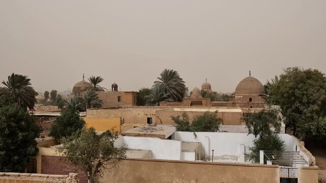 Cairo City of the Dead, Egypt, one of world's largest cemeteries, historic Islamic domes and mausoleums rising above residential tomb buildings and palm trees.