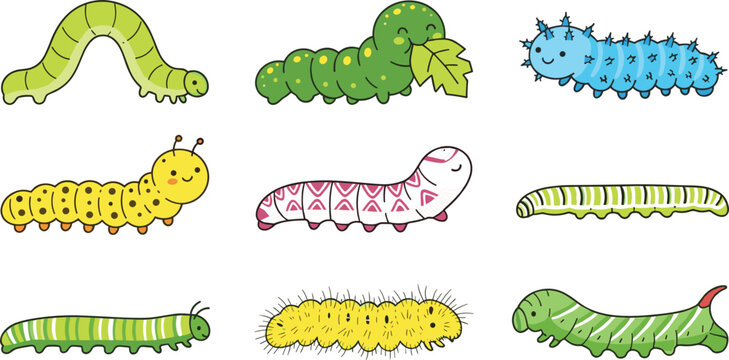 Cute Cartoon Caterpillar Character Vector Set Featuring Various Colorful Insect Species and Inchworms for Children Education and Greeting Card Designs