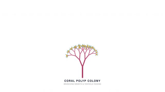 Coral Reef Branching Fractal Animation &mdash; Marine Biology Polyp Growth Pattern Loop