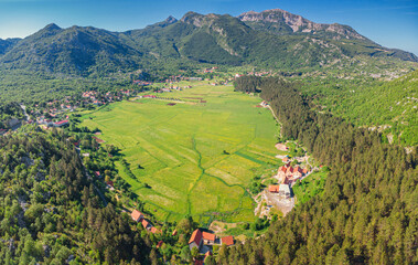 Obraz premium Njegusi village nestled in a green mountain valley, surrounded by lush forests and towering peaks, offering a scenic panorama of Lovcen National Park