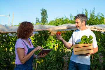 Farmers using tablet for smart organic farming