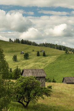 Bucovina Countryside with Wooden Hut and Green Summer Hills