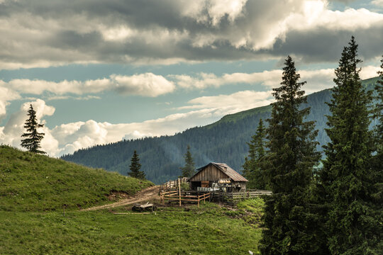 Traditional Shepherd Hut in Bucovina, Romania