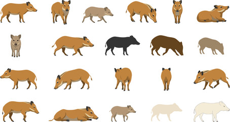 Obraz premium Collection of wild boar and piglet illustrations in flat vector style featuring different poses and color variations