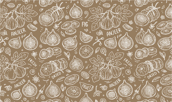 Vintage anjeer fig pattern hand drawn fresh and dried fruit doodle background