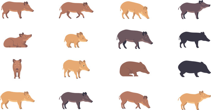 Collection of wild boar animal icons in various poses and colors for wildlife nature and forest ecosystem projects