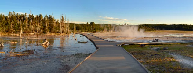 A boardwalk in Yellowstone national  park, Wyoming , USA  © T.C.