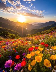 Obraz premium A vibrant field of wildflowers blooms under a golden sunset.