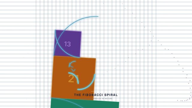 Fibonacci Sequence Golden Spiral Animation &mdash; Mathematical Pattern Nature Education Loop