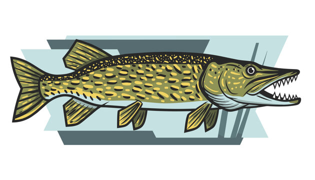 Detailed illustration of a northern pike fish with sharp teeth and a patterned body in a graphic design style.