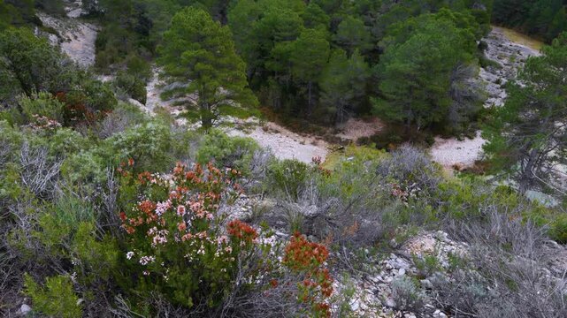 Aerial view from a drone of the La Pesquera landscape in the town of Beceite. Els Ports. Matarra&ntilde;a region. Province of Teruel. Autonomous Community of Aragon. Spain. Europe