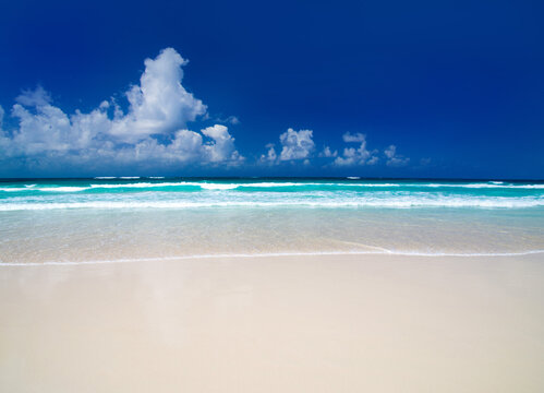 Beach sea. Tropical beach in Maldives