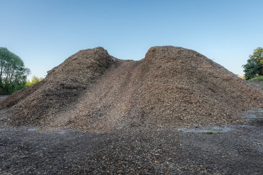 Massive wood chip piles stored outdoors for biomass fuel and renewable energy production