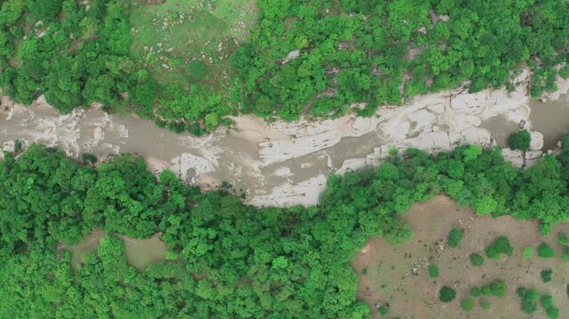 Expansive zenithal view of a muddy river winding through a lush green tropical forest in the Colombian savanna of the Eastern Plains