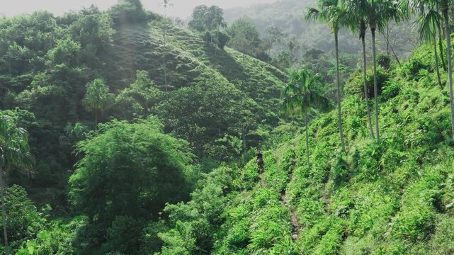 Majestic view of a dense tropical jungle in the Orinoquia region of Colombia. A lone person rides down a path on a green mountainside