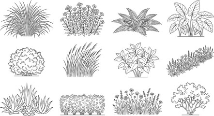 Collection of hand drawn botanical line art featuring garden plants shrubs ferns and grasses outline sketch © Lalchan
