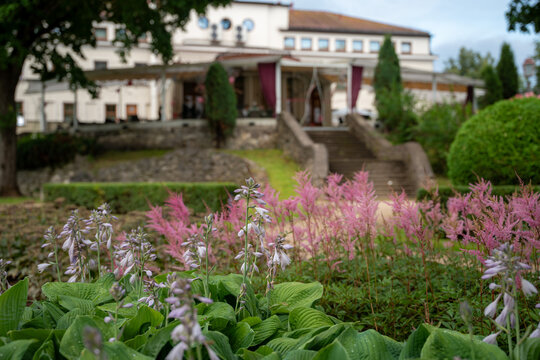 Pink astilbe and hosta flowers blooming in a landscaped garden below a historic building
