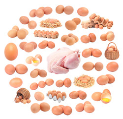Chicken and eggs  © valeriy555