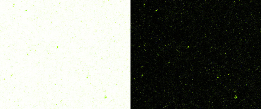Minimalist split screen background, high contrast black and white texture, abstract dual tone surface with subtle green speckles png