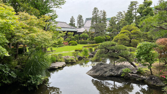 東京都葛飾区にある柴又帝釈天（題経寺）の日本庭園「邃渓園」の池と新緑の松、美しい和風庭園の風情ある風景