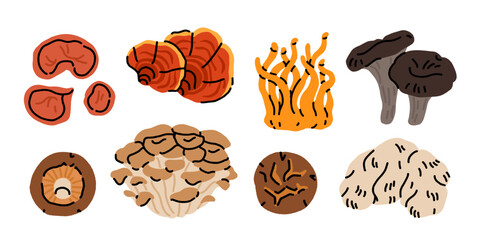 Hand drawn functional mushroom set: wood ear, reishi, cordyceps, black trumpet, shiitake, maitake, and lion's mane in orange, brown, and black colors. © tanyabosyk