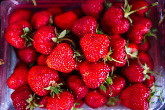 Fresh ripe strawberries packed in a plastic container