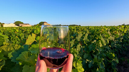 Obraz premium Red Wine Glass Held Over Lush Bordeaux Vineyard at Sunset