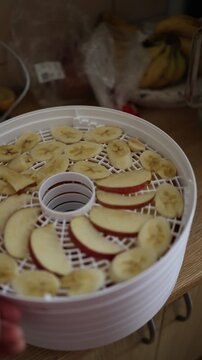 Vertical screen Fresh apple and banana slices are arranged inside electric food dehydrator before drying for natural preservation healthy snacks and home food storage