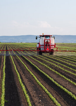 Modern agriculture tractor spraying crops in soybean field
