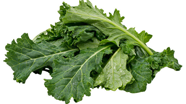 Fresh green kale leaves pile