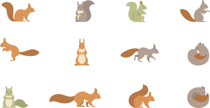 Premium Scandinavian style flat vector illustration set of cute squirrels in various poses for nature design.