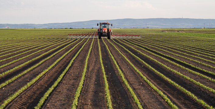 Agricultural machinery sprays crops with pesticide.