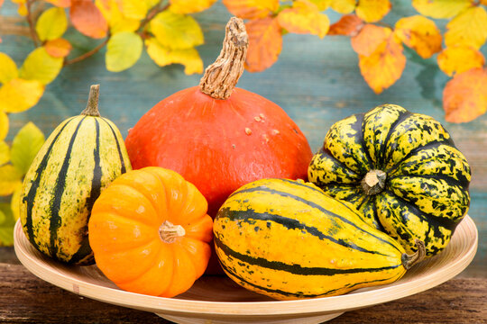 Herbst-Dekoration mit Bl&auml;tter und Fr&uuml;chte