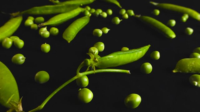 Close up slider shot of fresh green peas and pea pods scattered on a dark surface, highlighting their vibrant color and texture with a beautiful shallow depth of field and soft bokeh