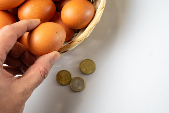 Hand Holding Brown Egg Near Euro Coins