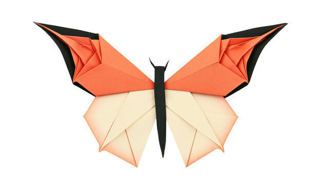 Orange and cream origami butterfly with black accents