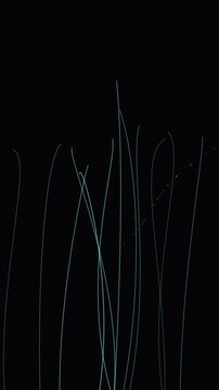 Starting motion in a dark scene with neon light lines bending and rising